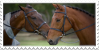 horses stamp