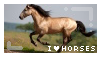 i-love-horses